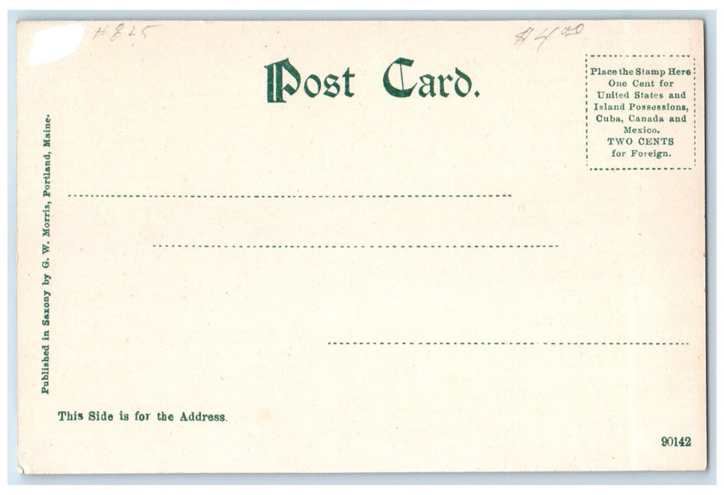 c1905 Fabyan House Fabyan White Mountains New Hampshire Vintage Antique Postcard