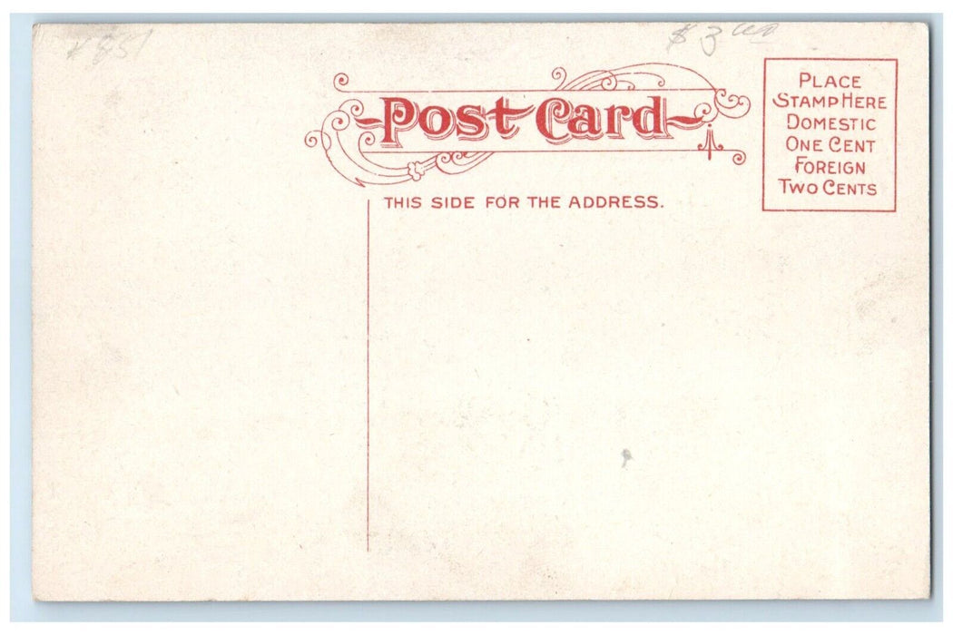 c1910 Exterior View Pickard House Bridge River Bemus Point New York NY Postcard