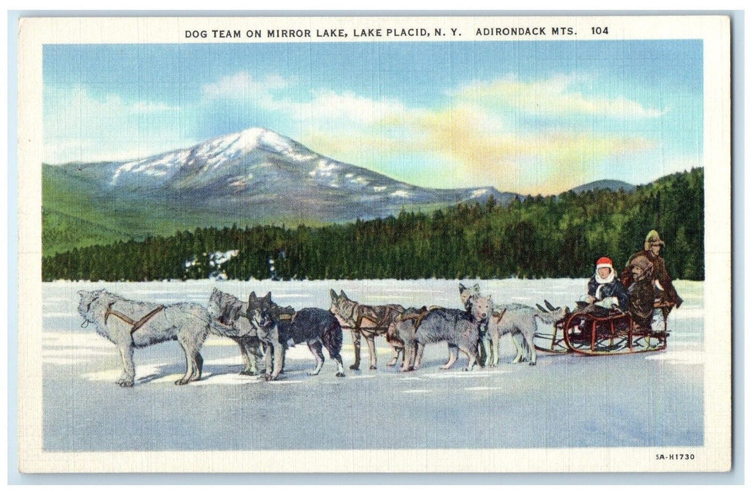 c1940 Dog Team Mirror Lake Lake Placid Adirondack Mountains New York NY Postcard