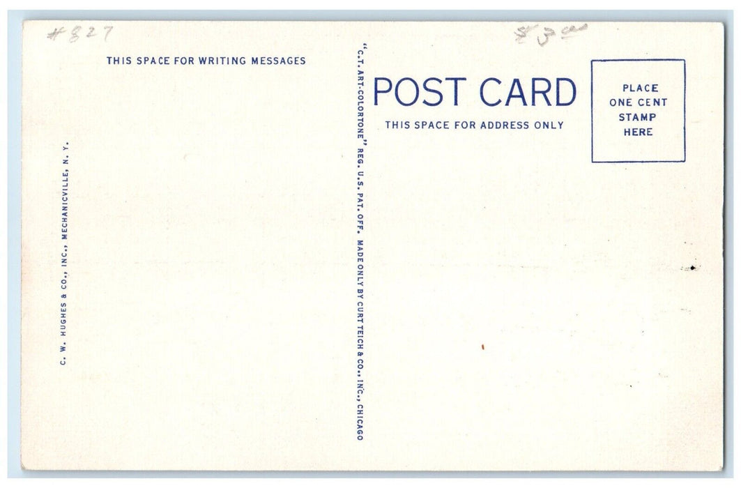 c1940 Dog Team Mirror Lake Lake Placid Adirondack Mountains New York NY Postcard