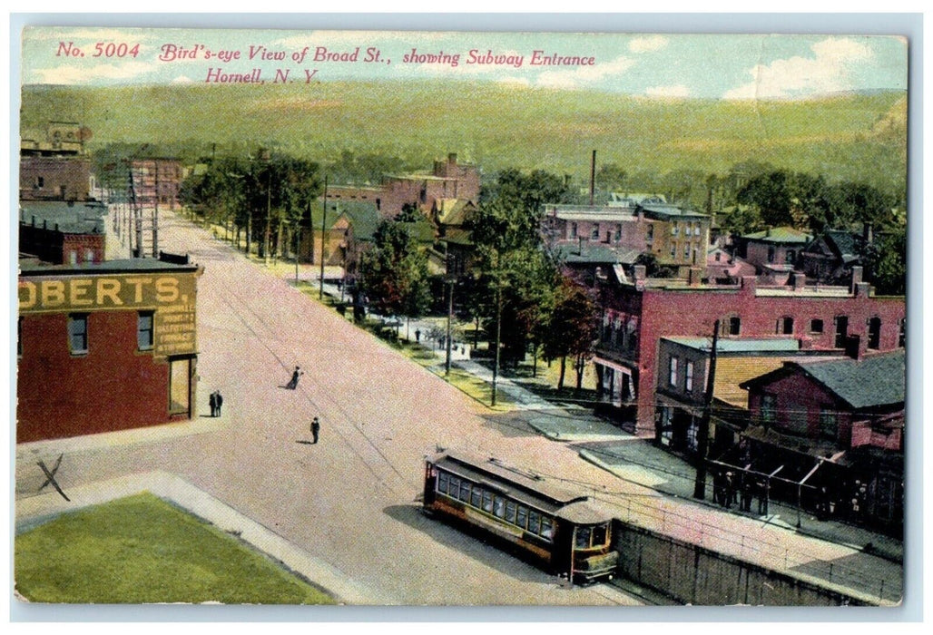 1910 Birds Eye View Broad St Subway Entrance Hornell New York NY Posted Postcard