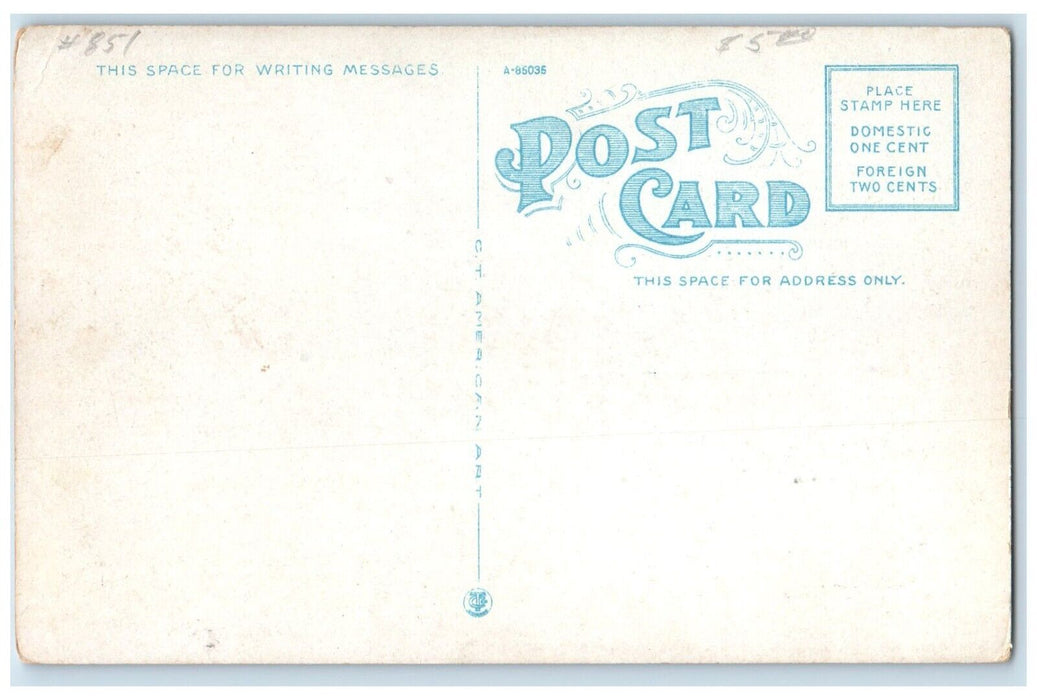 c1920 Fall Street West Classic Cars Seneca Falls New York NY Unposted Postcard