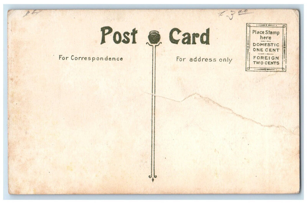 1910 Steamer Cruise Ship Boat Landing Dock Lewiston New York NY Antique Postcard