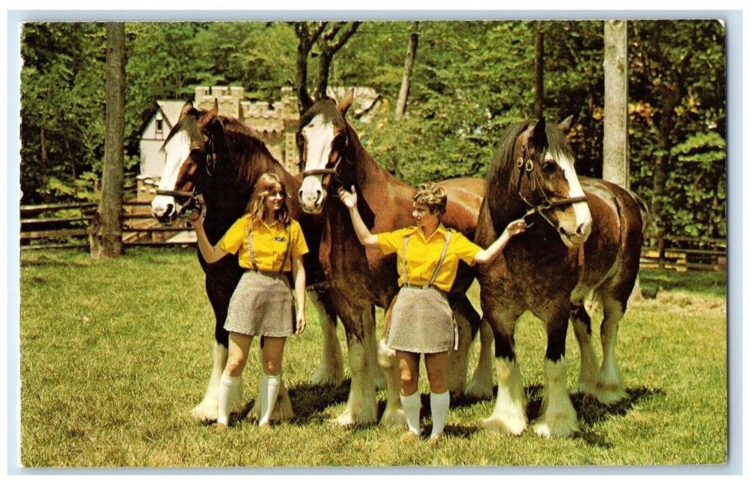 The Old Country Highland Stables Anheuser Busch Clydesdale Horses Postcard