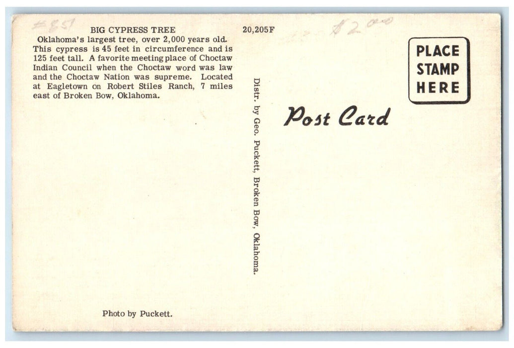 c1940 Big Cypress Tree Meeting Place Indian Council Broken Bow Oklahoma Postcard