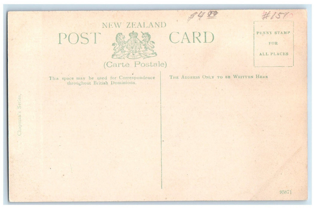 c1910 Public Library Wellesley Street Auckland New Zealand Antique Postcard