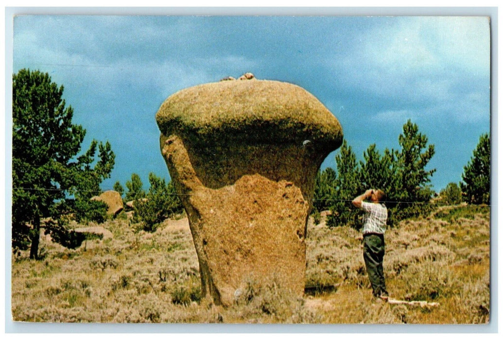 1972 Huge Toadstool In Vedau Woo Rocks Laramie Cheyenne Wyoming WY Postcard