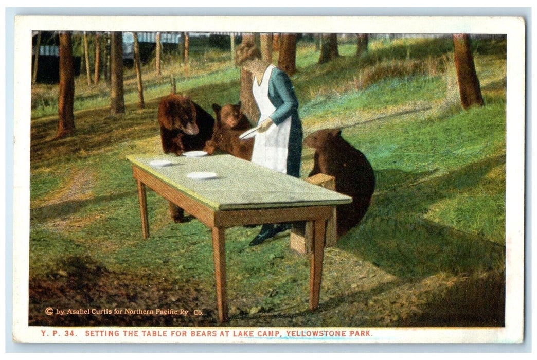 c1920 Setting Table Bears Lake Camp Yellowstone Park Wyoming WY Vintage Postcard