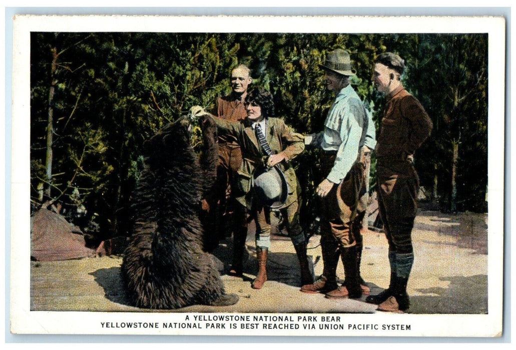 c1920 Yellowstone National Park Union Pacific System WY Vintage Antique Postcard