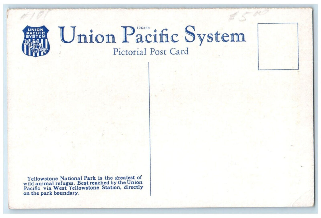 c1920 Yellowstone National Park Union Pacific System WY Vintage Antique Postcard