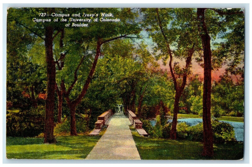 1990 Campus Prexy's Walk Campus Of The University Colorado Boulder CO Postcard