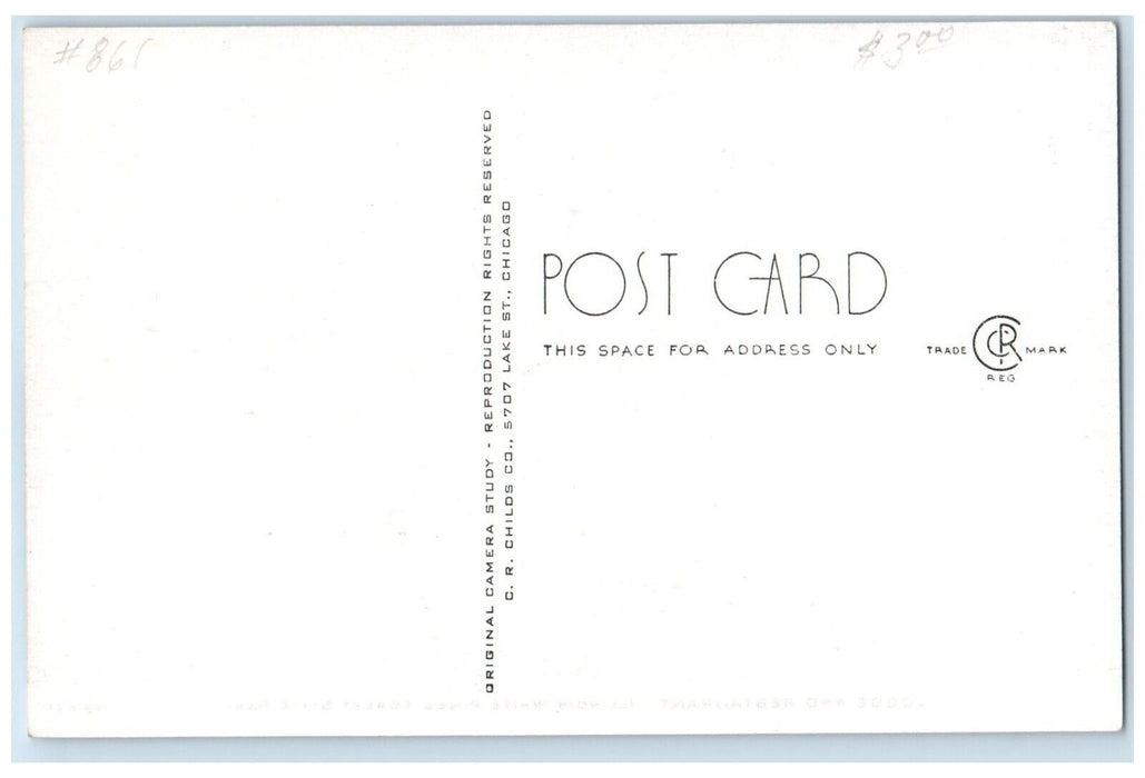 c1940 Lodge Restaurant Illinois White Pines Exterior Forest State Park Postcard