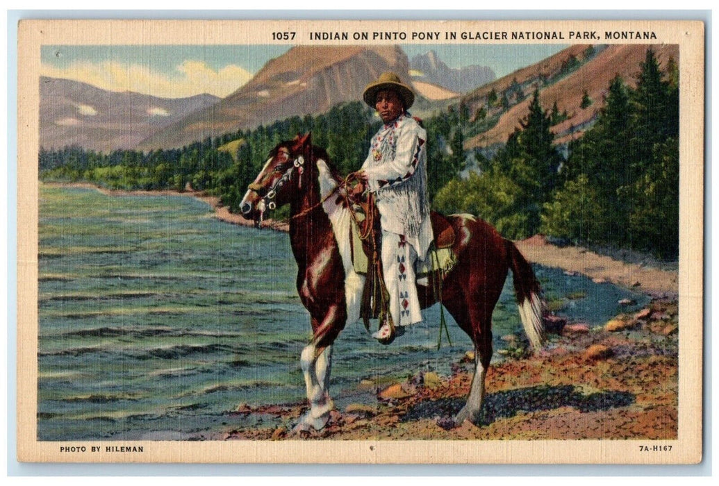 c1940 Indian Pinto Pony Mountain River Glacier National Park Montana MT Postcard
