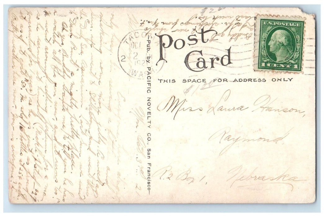 1921 On The Way Paradise Valley Rainier National Park Trees Washington Postcard