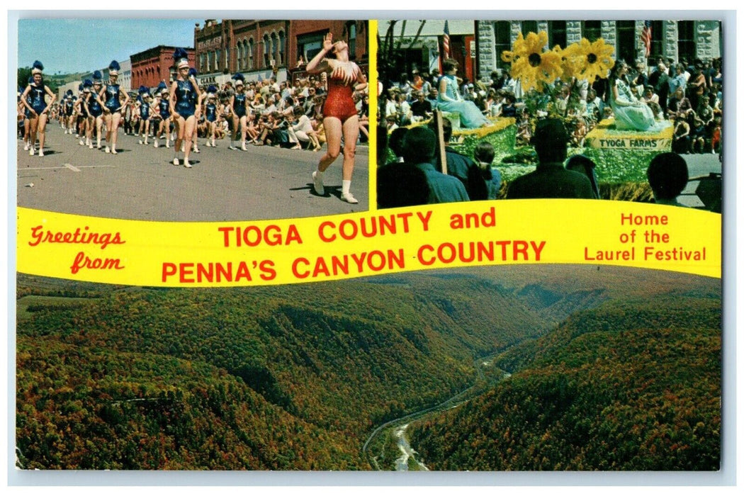 1960 Greetings Tioga County Penna Canyon Country Pennsylvania PA Banner Postcard