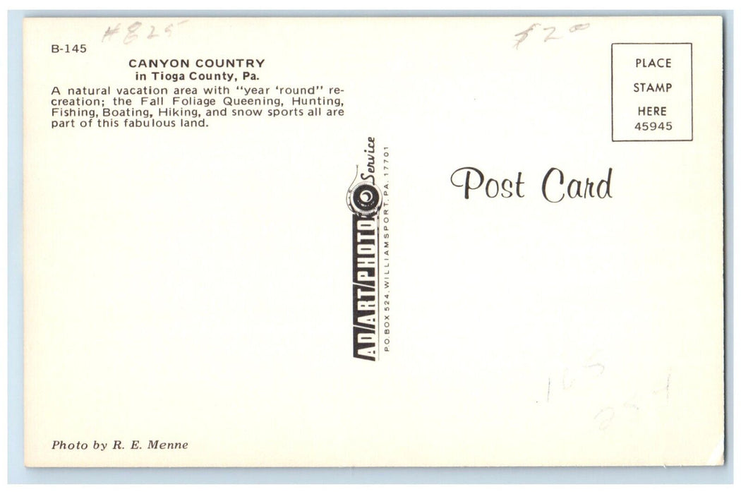 1960 Greetings Tioga County Penna Canyon Country Pennsylvania PA Banner Postcard