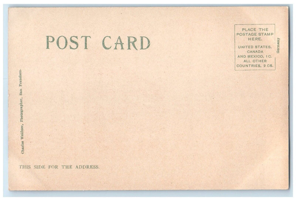 c1905 Broadway Building Horse Carriage Bicycle Oakland California CA Postcard