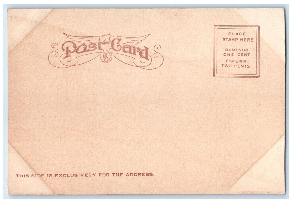1905 Poughkeepsie Bridge Across The Hudson New York NY Antique Postcard