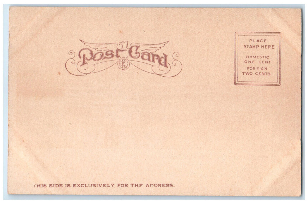 c1905 Hudson River Day Line Steamer Albany New York NY Unposted Postcard