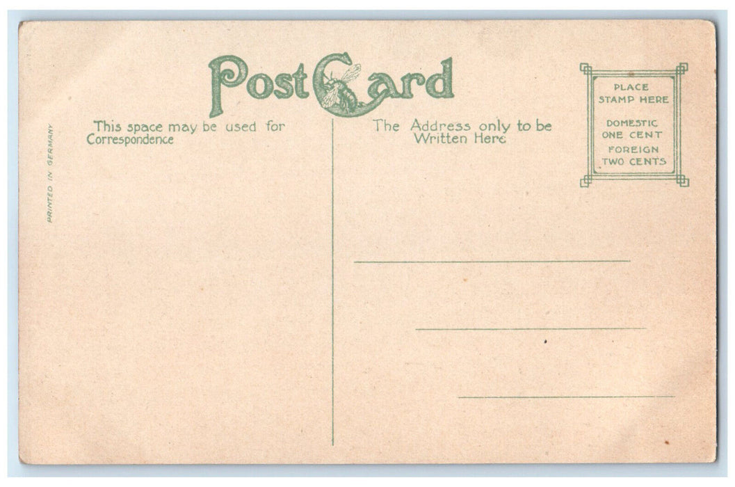 c1910 View of State Capitol Nashville Tennessee TN Antique Posted Postcard