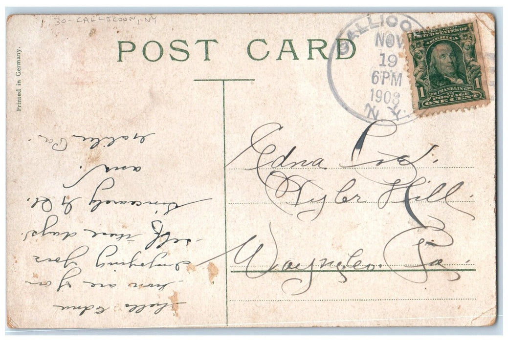 1908 Port Jervis Front St. At Night Man Smoking Cigar Dogs Callicoon NY Postcard