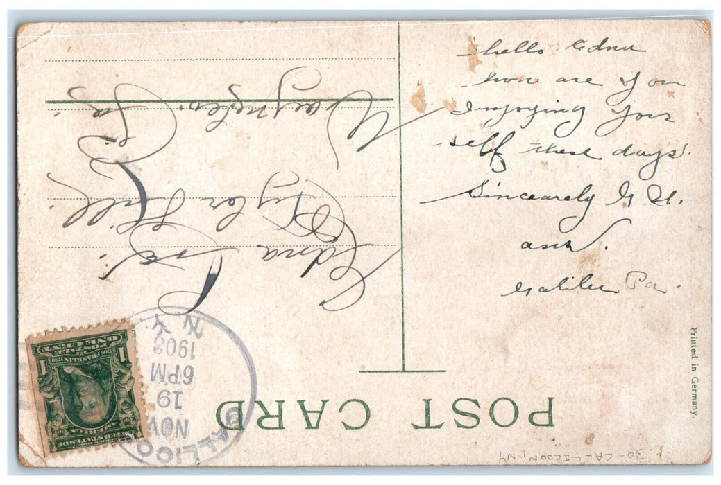 1908 Port Jervis Front St. At Night Man Smoking Cigar Dogs Callicoon NY Postcard