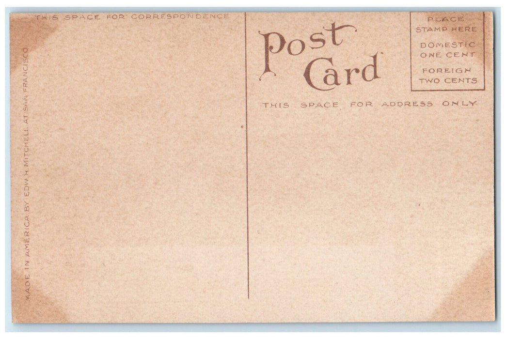 c1910 Hotel Metropole Avalon Santa Catalina Island California CA Postcard