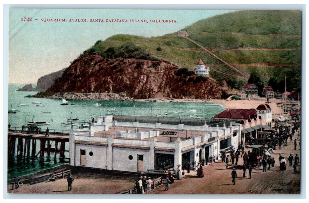 c1910 Aquarium Avalon Santa Catalina Island California CA Unposted Postcard