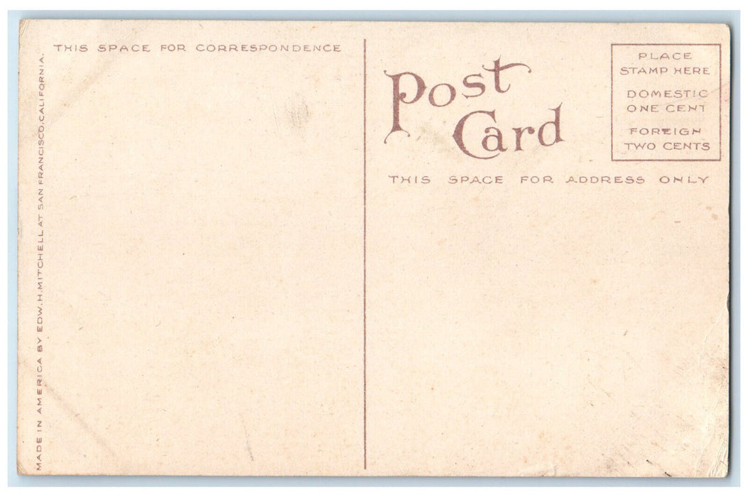 c1910 Southern Pacific Depot and Ferry San Pedro California CA Postcard