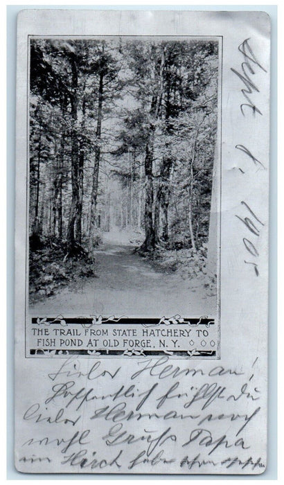 Trail From State Hatchery To Fish Pond At Old Forge NY Aluminum Metal Postcard