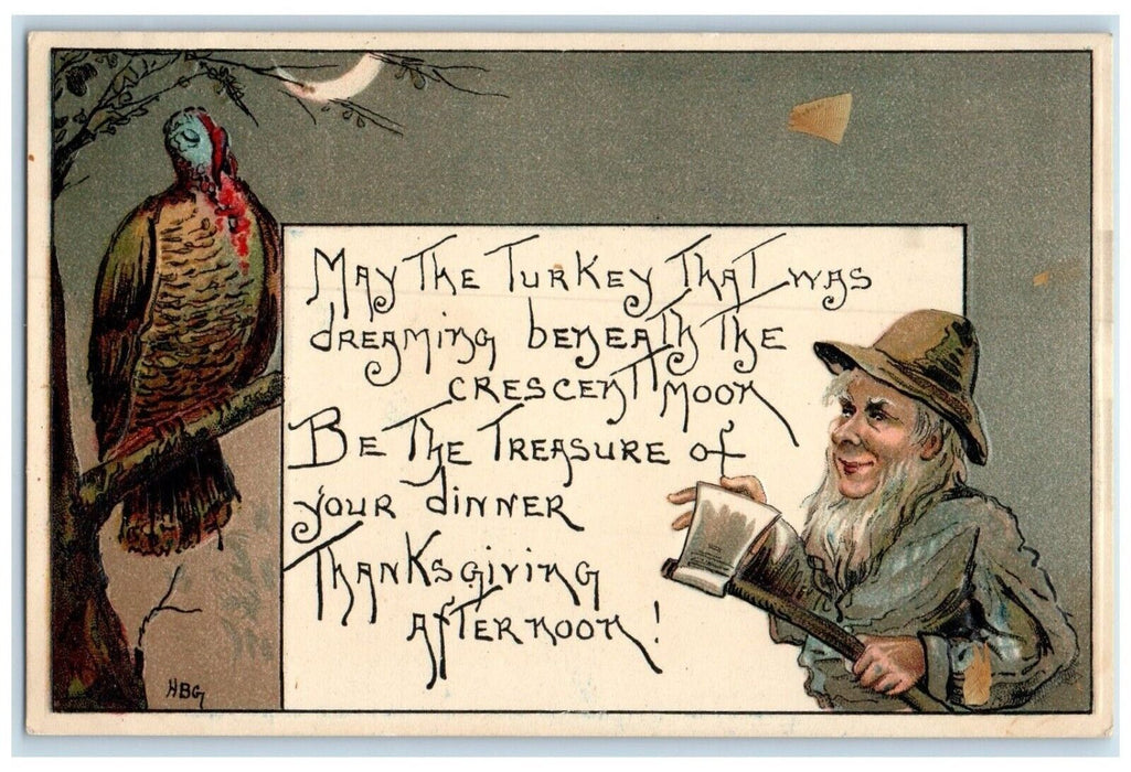 Thanksgiving Sleeping Turkey Dreaming Crescent Moon Man Hatchet HBG Postcard