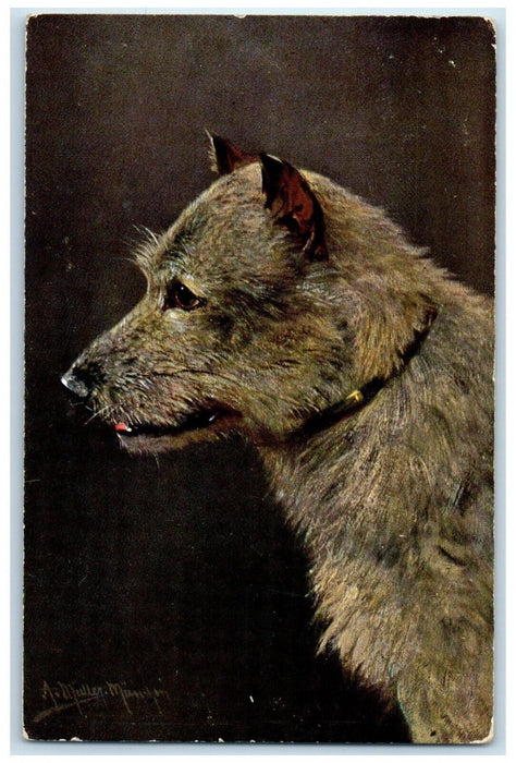 1908 Terrier Dog Muller Munchen Art Hobart Mills California CA Antique Postcard