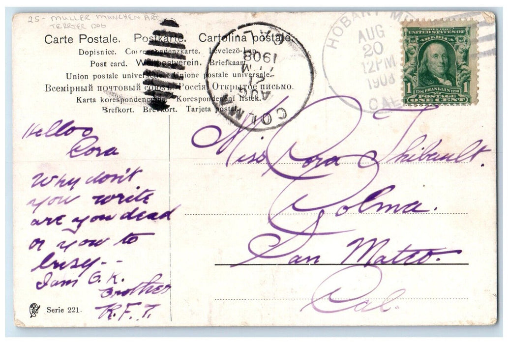 1908 Terrier Dog Muller Munchen Art Hobart Mills California CA Antique Postcard