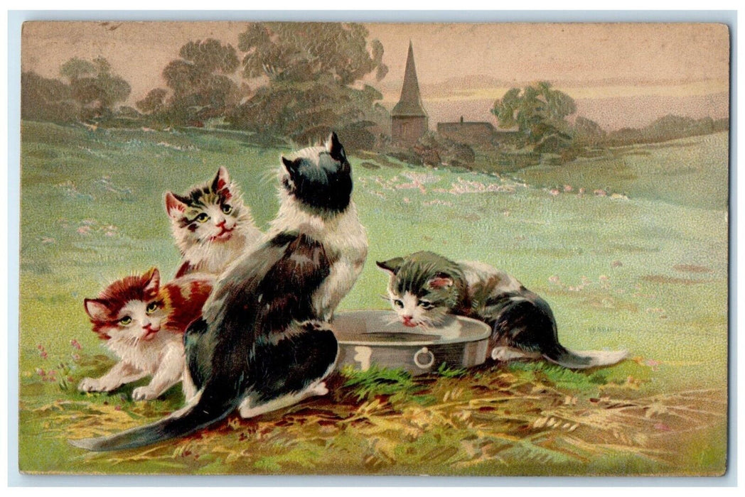 c1910's Cute Cat Kitten Drinking Water Embossed Port Jervis New York NY Postcard