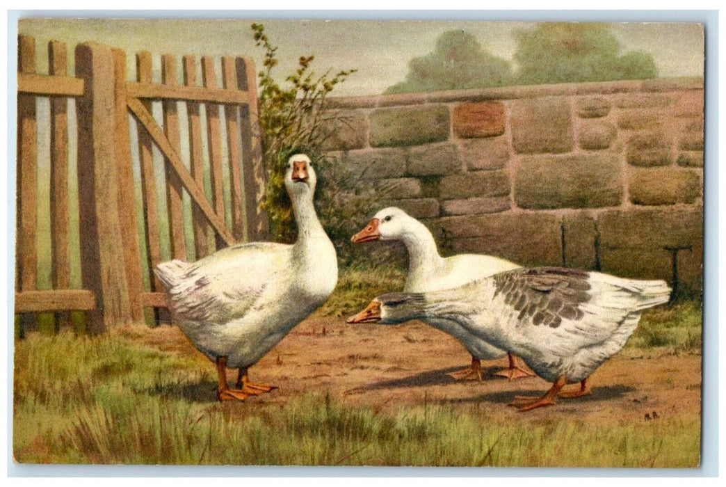 c1930's Ducks Fence Animals Art Switzerland Unposted Vintage Postcard