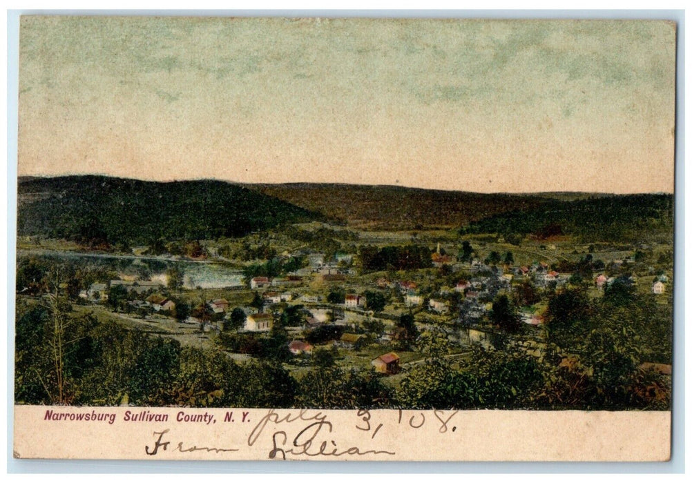 c1908 Panorama View Buildings Narrowsburg Sullivan County New York NY Postcard