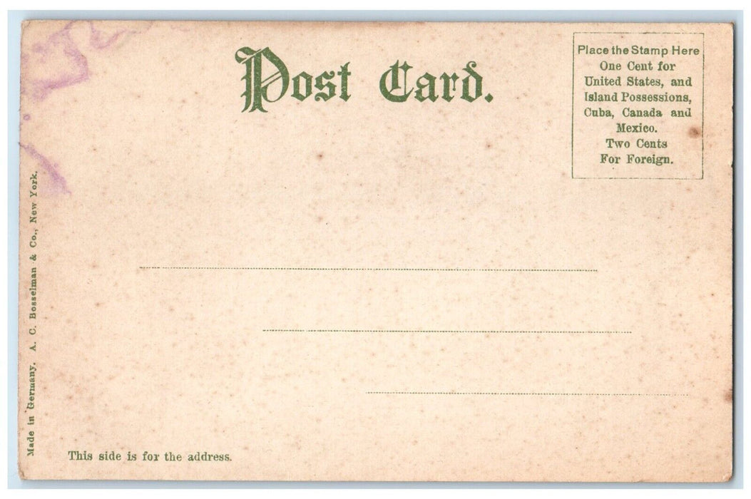 1905 Hudson River Day Line Steamer Albany Cruise Ship New York Unposted Postcard