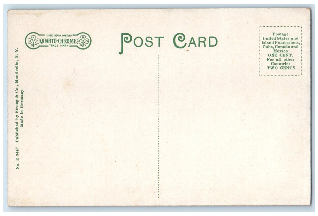c1910 Broadway Post Office Building Road Monticello New York NY Antique Postcard