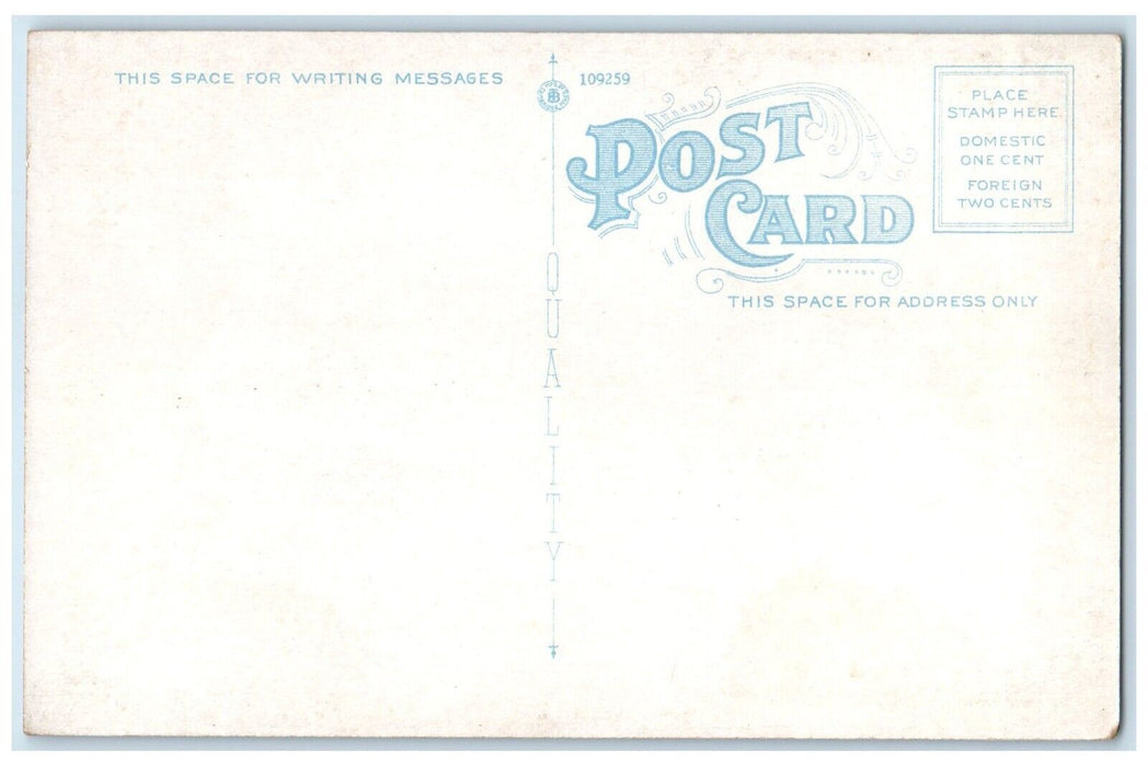 c1920 Pike Street Buildings Flag Classic Car Road Port Jervis New York Postcard