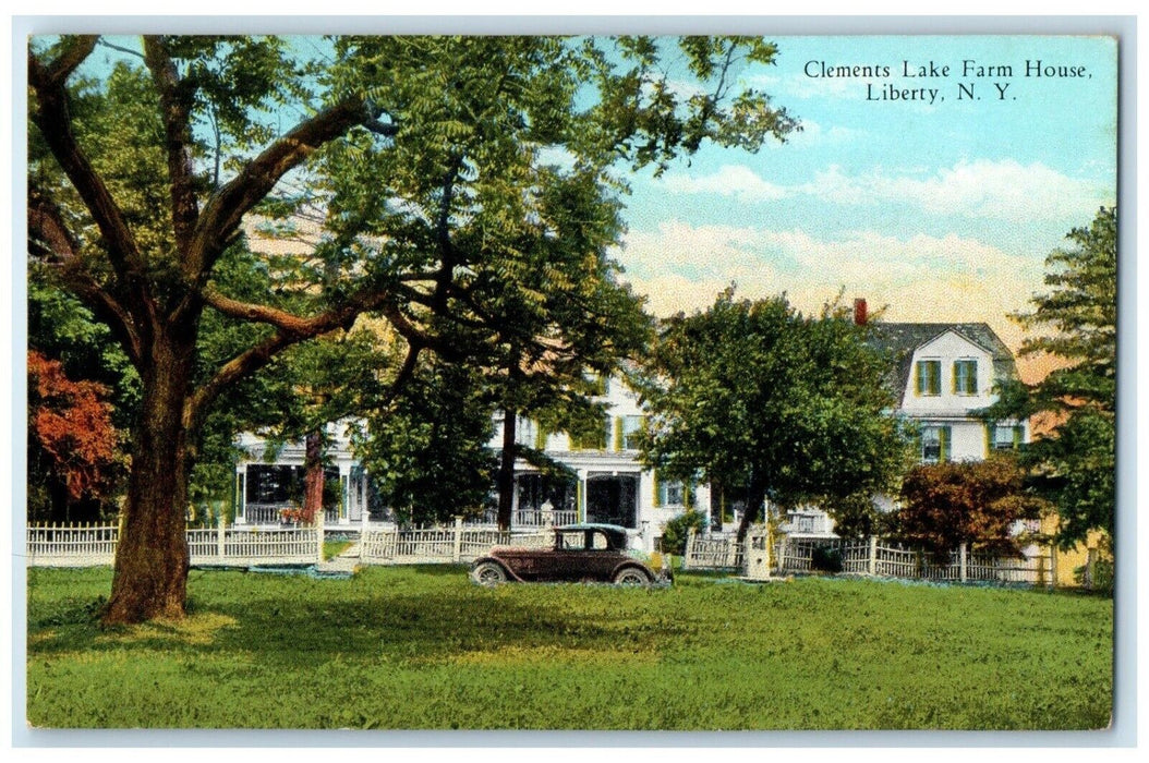 c1920 Scenic View Clements Lake Farm House Liberty New York NY Unposted Postcard
