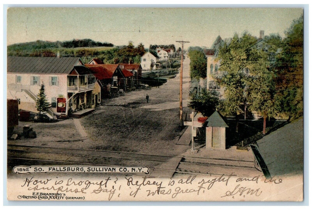 1907 Birds Eye View South Fallsburg Street Sullivan County New York NY Postcard