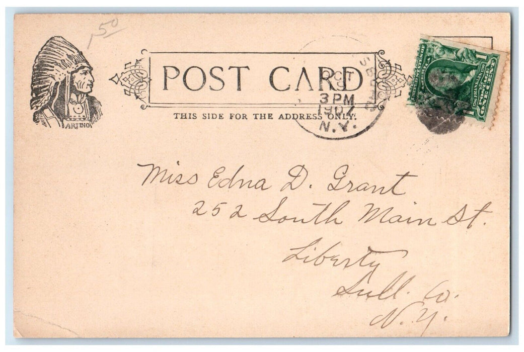 1907 Birds Eye View South Fallsburg Street Sullivan County New York NY Postcard