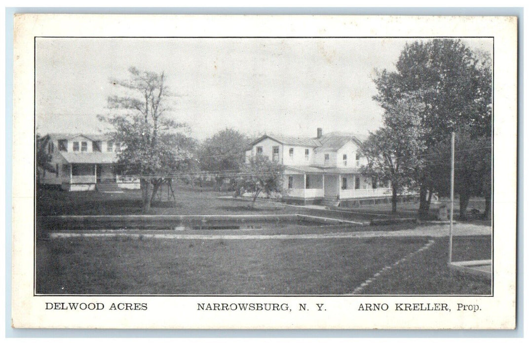 c1910 Scenic View Delwood Acres Buildings Narrowsburg New York Unposted Postcard