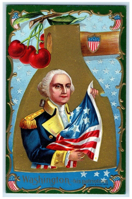 1911 George Washington Patriotic Berries Embossed Kirwin Kansas KS Postcard