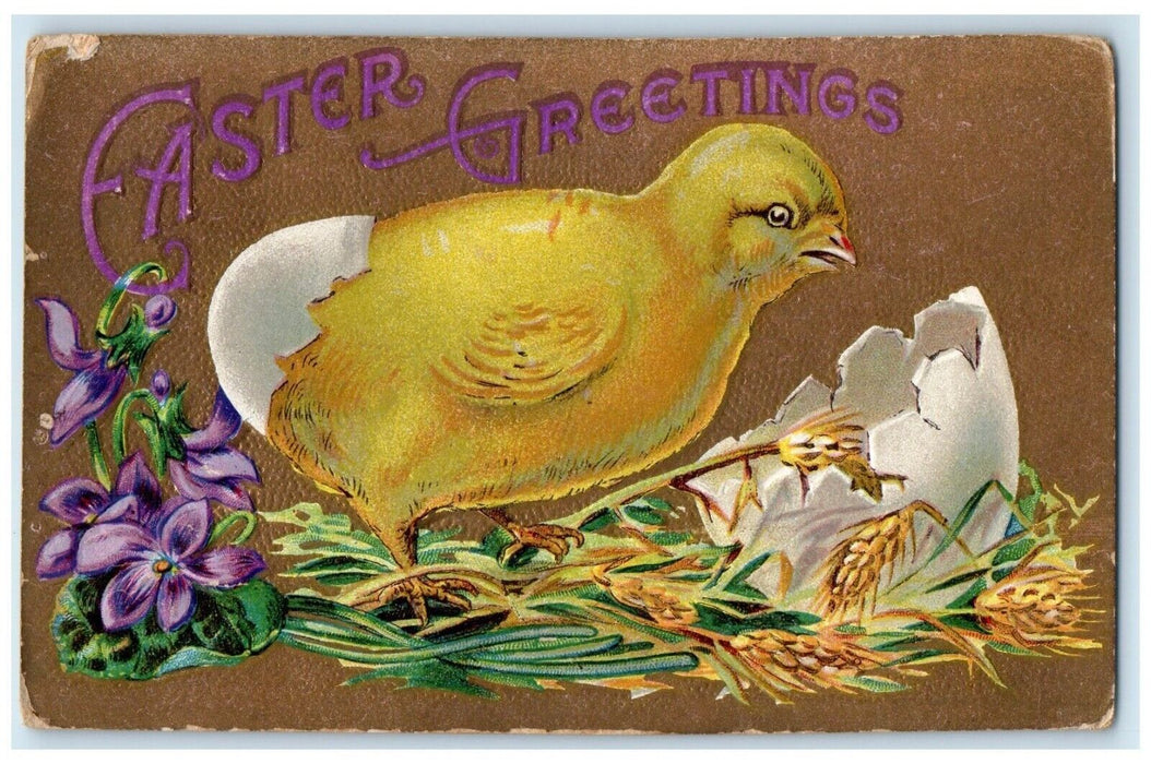 1910 Easter Greetings Big Chick Hatched Egg Flowers Embossed Antique Postcard