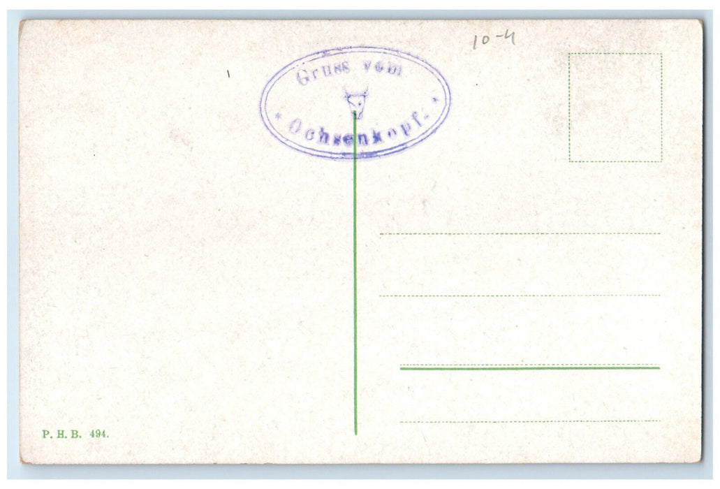 c1920's Weißmainfelsen Fichtel Mountains Neubauer Forst-Nord Germany Postcard