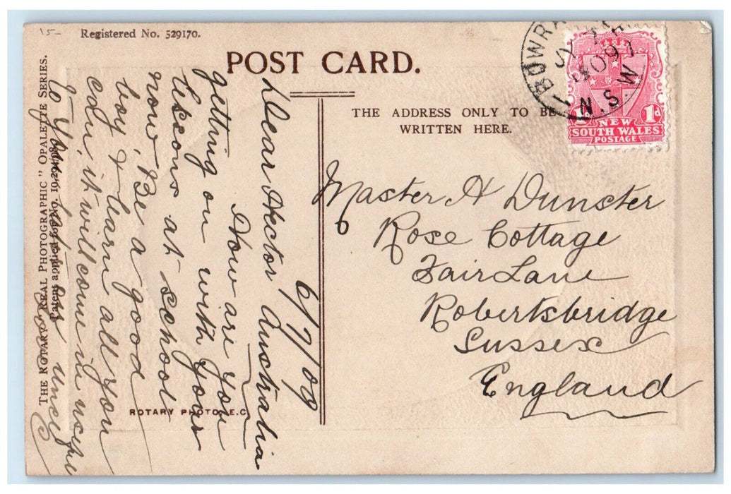 1909 Dog A Noble Dane Studio Embossed RPPC Photo Posted Antique Postcard