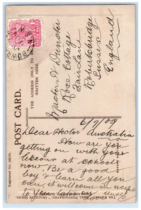 1909 Dog A Noble Dane Studio Embossed RPPC Photo Posted Antique Postcard