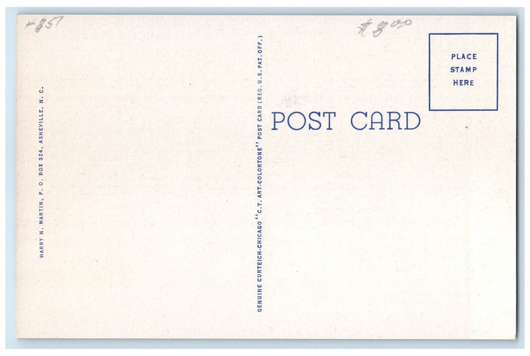c1930's View Of New Riverside Hotel Gatlinburg Tennessee TN Vintage Postcard