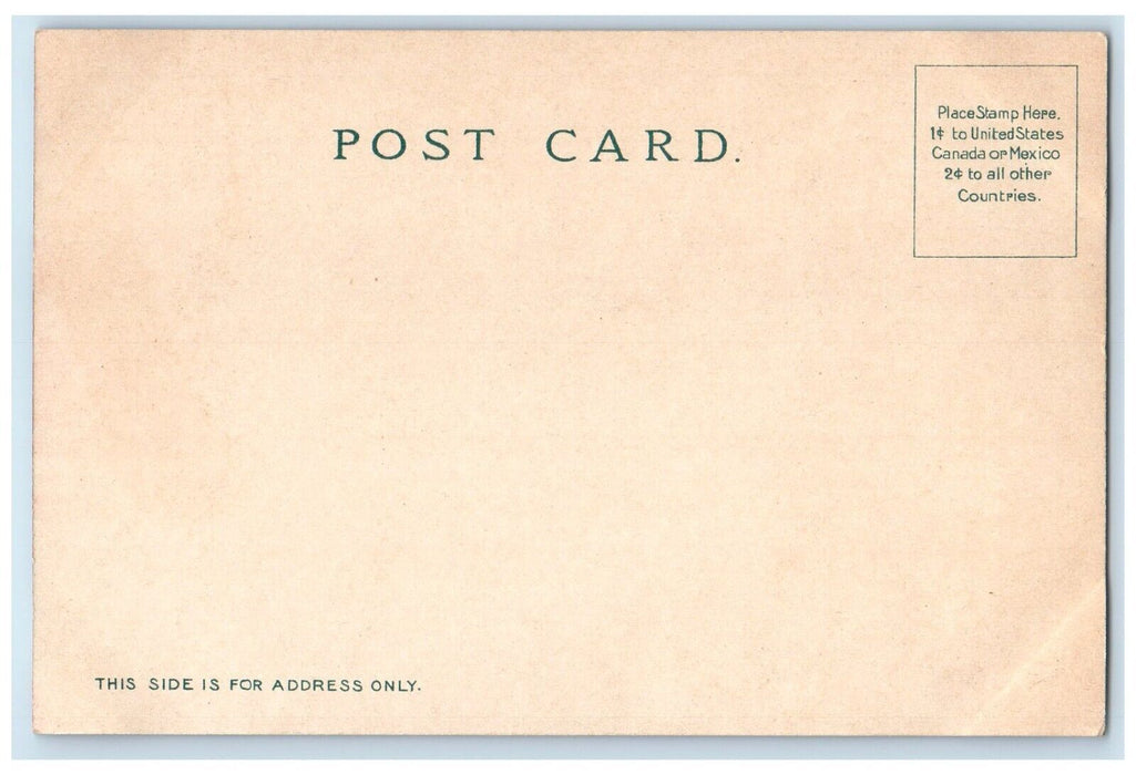 1905 Mariposa Grove Wawona Riding Horse Carriage California CA Unposted Postcard